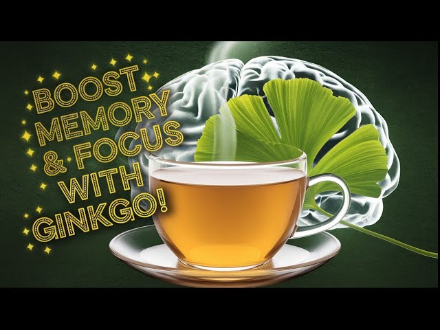 Why Ginkgo is the Best Herb for Focus & Memory Boost!