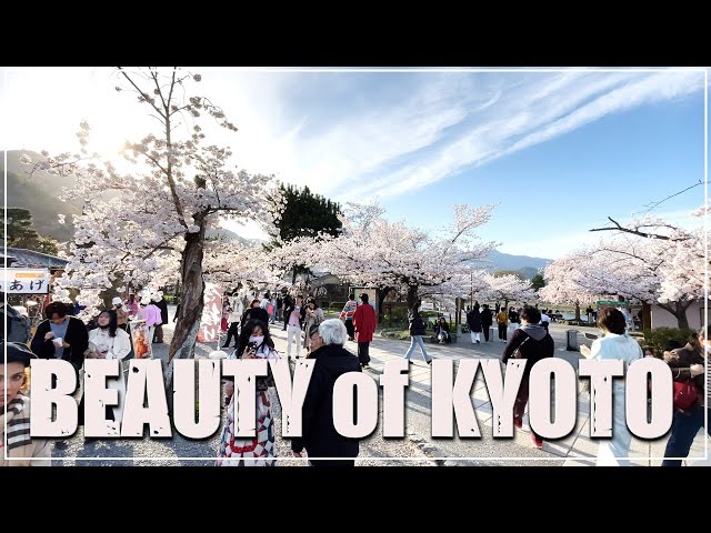 One Day in Kyoto With Me