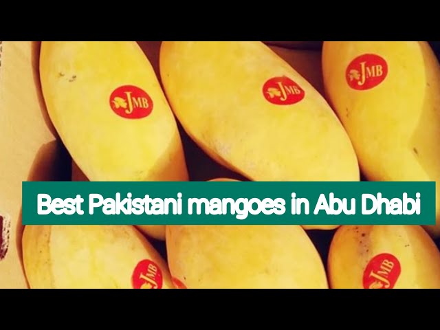 Kya yahan Chaunsa aam milega?#Pakistanimangoes# Tour of Mina port fruits and veg market in Abudhabi