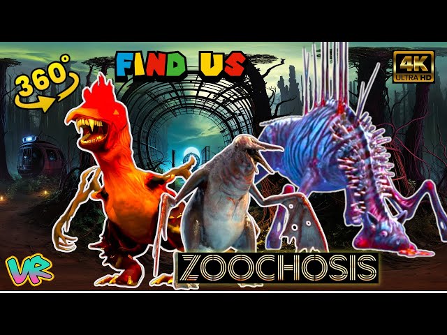 Zoochosis Penguin vs Zoochosis Zebra vs Zoochosis Chicken | Finding challenge 360 | VR360