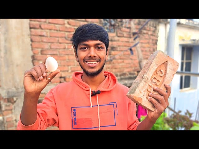 क्या एक अंडा ईंट को तोड़ सकता है? - Egg vs Brick @MRINDIANHACKER #experiment #trending