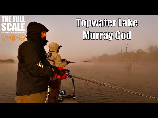 Topwater Lake Fishing For Murray Cod | The Full Scale