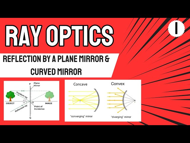 Ray Optics | Reflection By a Plane Mirror & Curved Mirror | Sunday Batch Foundation