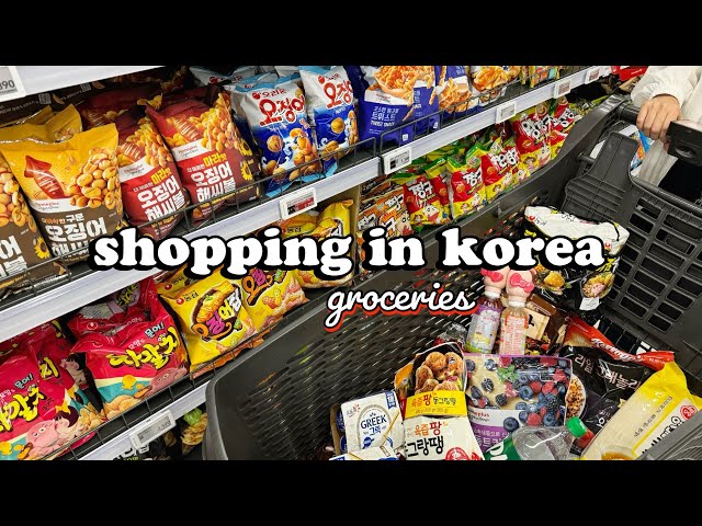 shopping in korea vlog 🇰🇷 grocery food haul with prices 🍑 cheap or expensive? 💸💸