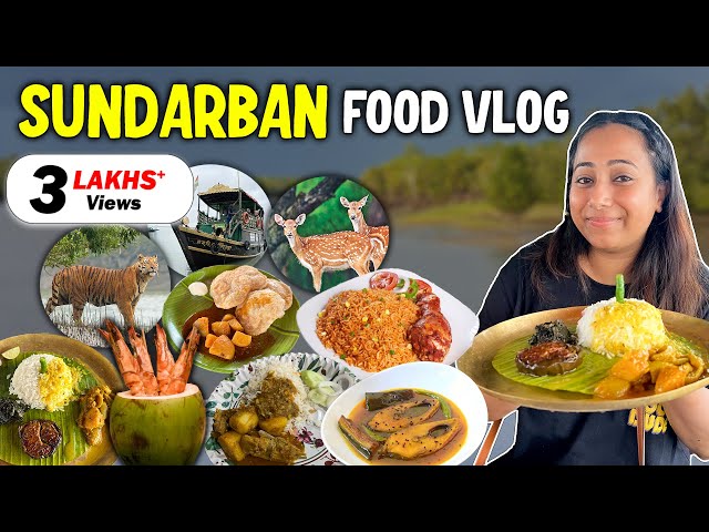 Eating only Bengali Food for 72 Hours | Fish, Crab, Veg Meals, Snacks & more | Sundarban Food Vlog