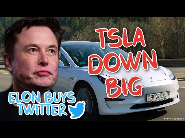 Elon Musk BUYS TWITTER!!! TSLA Down 10%