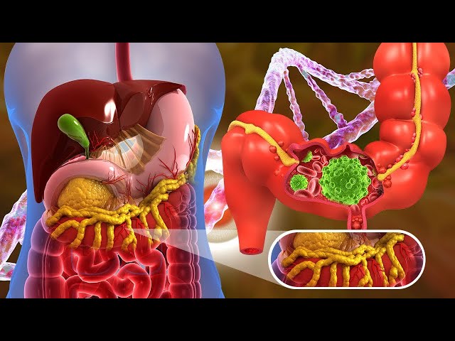 Intestinal Healing: Full Body Repair and Regeneration at 432Hz, Positive Energy Flow...#1