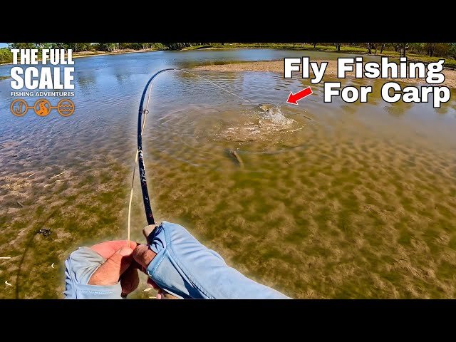 Fly Fishing For Carp | The Full Scale