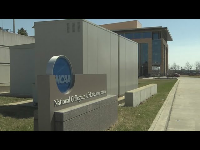 NCAA changes transgender policy to limit women's competition to athletes assigned female at birth