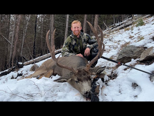 Calling Big Bucks!!! Mule Deer Hunting - Stuck N The Rut 197