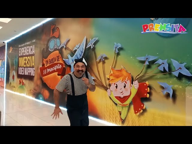 En busca de El Principito