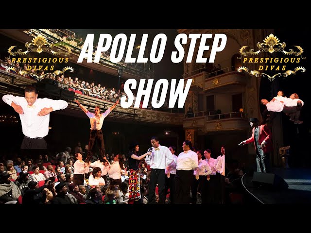 Apollo Step Competition - Prestigious Divas Step Team