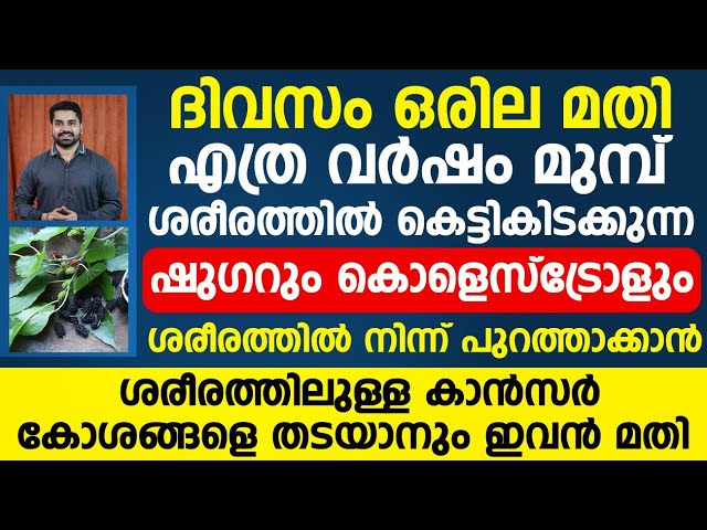 ദിവസം ഒരില മതി ഷുഗറായാലും കൊളെസ്ട്രോൾ ആയാലും ശരീരത്തിൽ നിന്ന് പുറത്താക്കാൻ | cholestrol malayalam