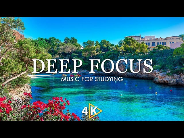 Deep Focus Music To Improve Concentration - 12 Hours of Ambient Study Music to Concentrate #825