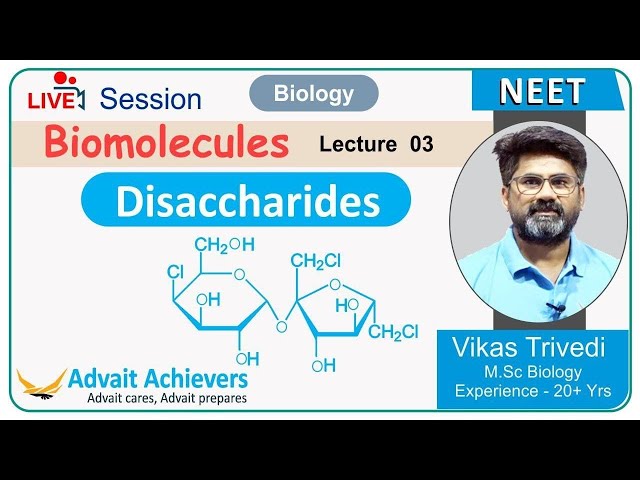 🦠Biomolecules || 𝐋𝐞𝐜 03 || 𝐁𝐢𝐨𝐥𝐨𝐠𝐲 Guj  𝐍𝐄𝐄𝐓 𝐂𝐥𝐚𝐬𝐬