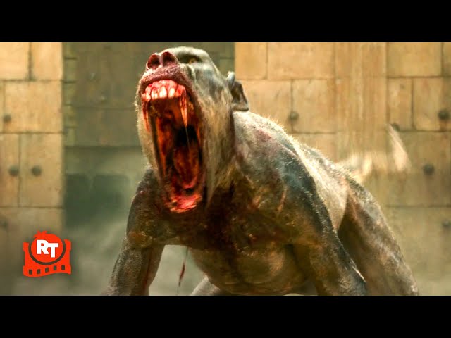 Gladiator II (2024) - Rabid Monkeys Attack Scene | Movieclips