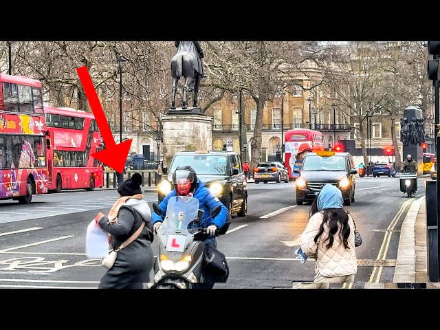 SHOCKING - YOU WON'T BELIEVE WHAT THIS ADULTS DID at horse guards