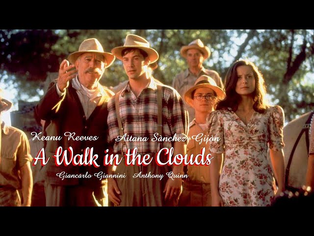 A Walk in the Clouds (1995) Hollywood Movie Explained In Hindi