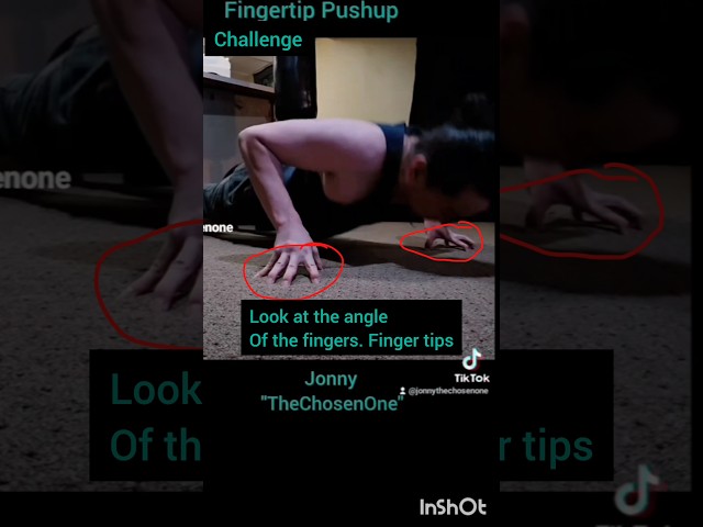 Impossible Push-Up Challenge Mode #pushups #challenge #fyp #Jonny