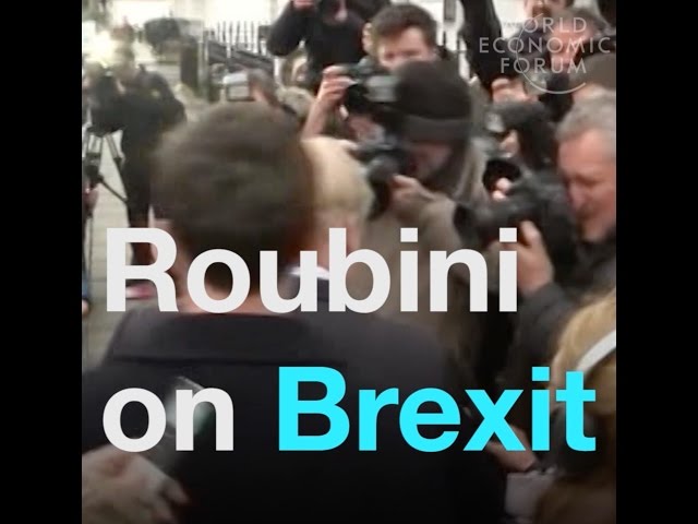 Roubini on Brexit