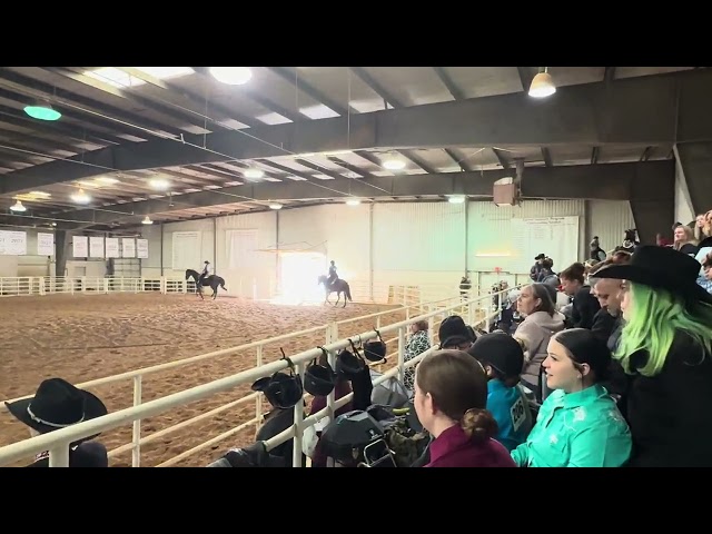 2024-2025 Western IEA AM horsemanship