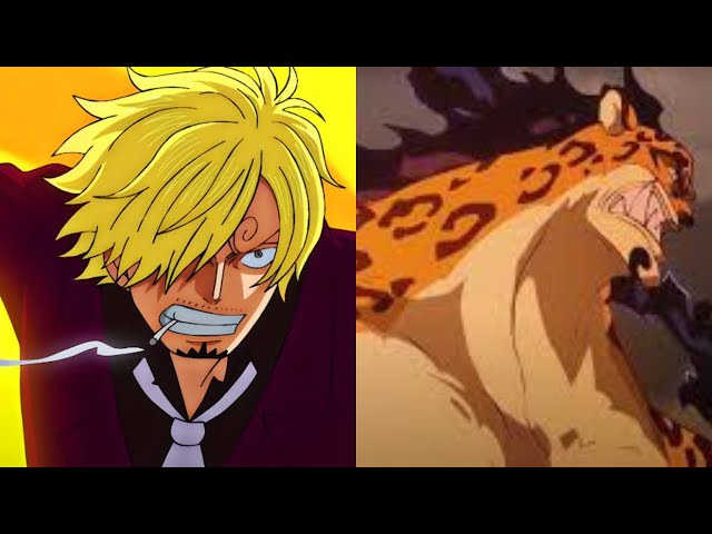 [PRB01] Sanji (Red Haired Version) VS [OP07] Rob Lucci One Piece TCG Game Play in OP09 Meta