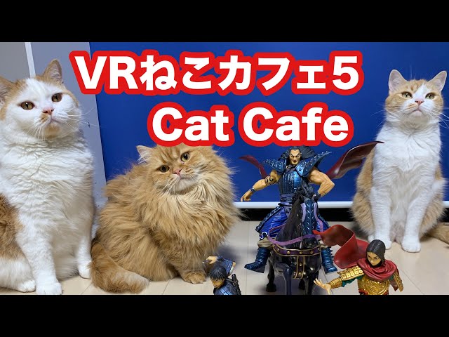 【VR Cat Cafe 5】VR猫カフェでまったり♡ 【VR180】