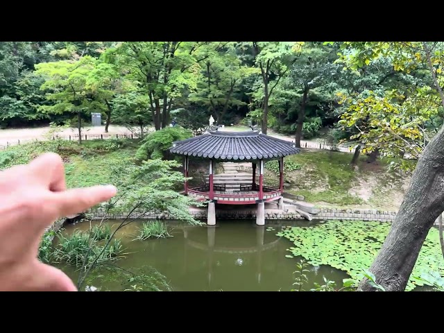 [Earth Travel] Seoul Secret Garden, sponsored by Changdeokgung Palace,