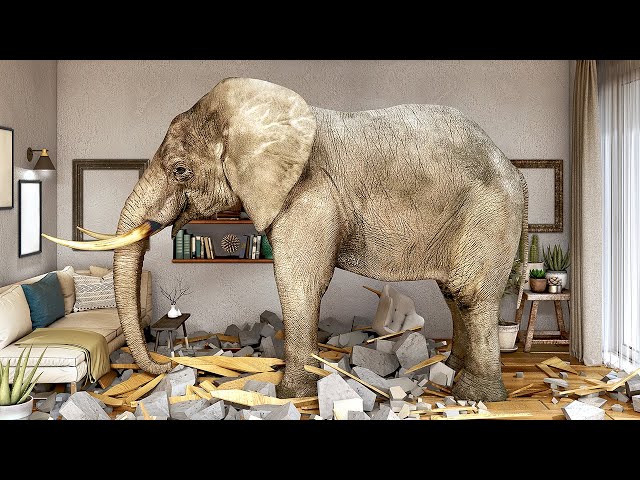 1. Hell: The (Imaginary) Elephant in the Middle of the Room