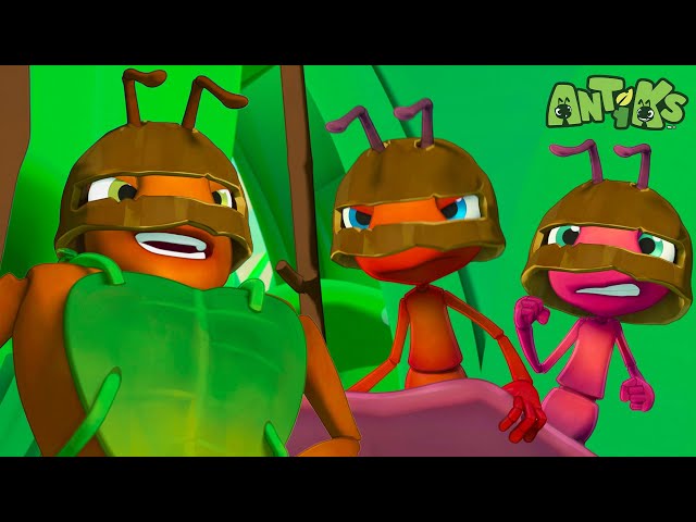 Swords And Shields | Antiks 🐜 | Action Cartoons For Kids