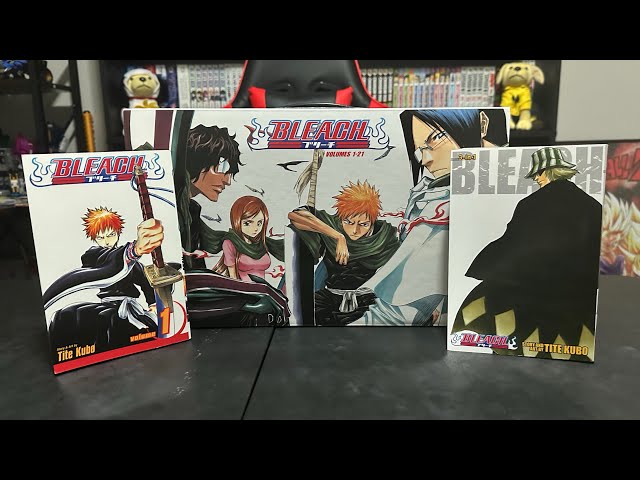 Bleach Buying Guide (Omnibus Vs Singles)