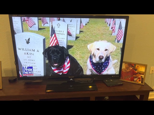 FOX News National Anthem 11 13 21