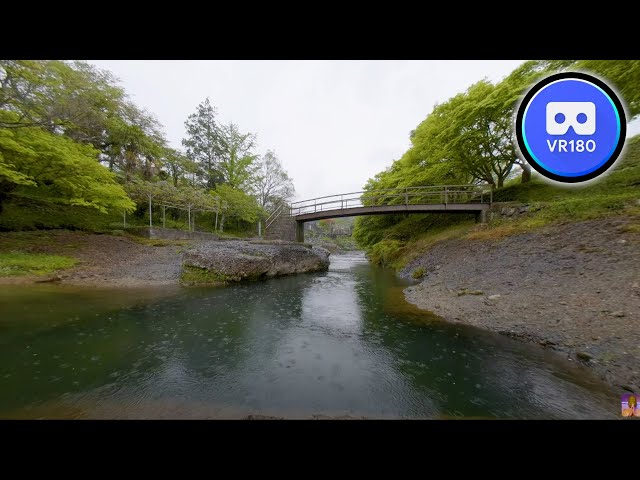 VR180 Trip Spend time in the park when it rains 8K Video