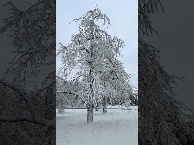 Snow country of Niagara Falls on Jan 15, 2025