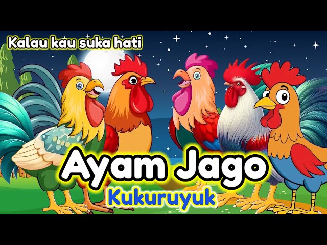 Lagu Anak 🇮🇩 Kuku Kukuruyuk - Lagu Ayam Jago - Ayam Berkokok - Lagu Anak Indonesia