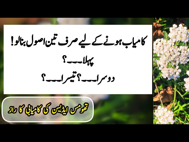 Inspiring Thomas Edison Quotes in Urdu | Words of Wisdom | Edison Success Tips | Sunhary haroof