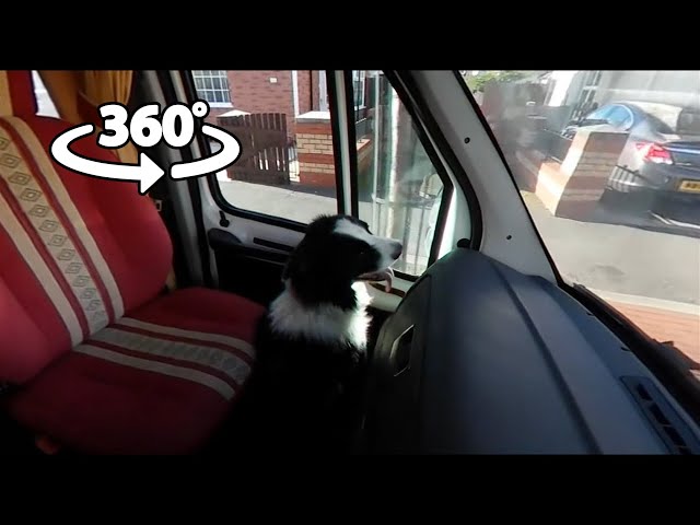 360 VR - Same Coming for a Ride in our Motorhome