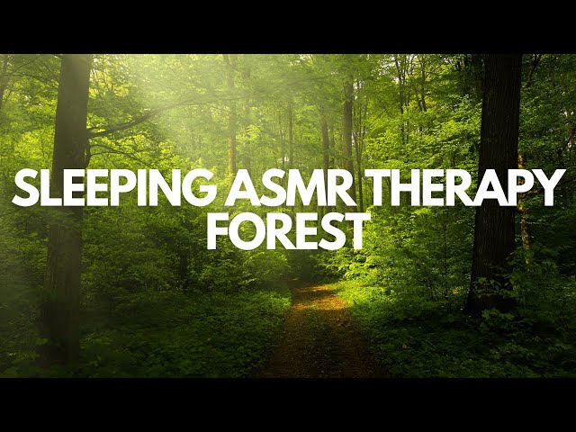 Sleeping ASMR Therapy Forest Night💤 | Deep Nature Sounds for Relaxation & Sleep