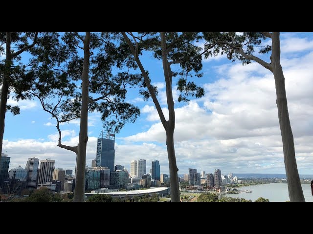 Kings Park Western Australia 360°VR