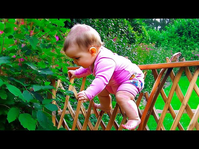 Adorable and Funny Baby Videos You Can't Miss!