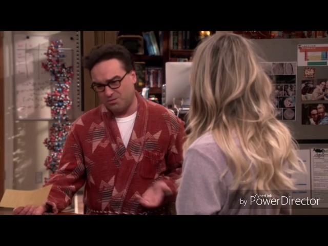 The Big Bang Theory - Raj moves out