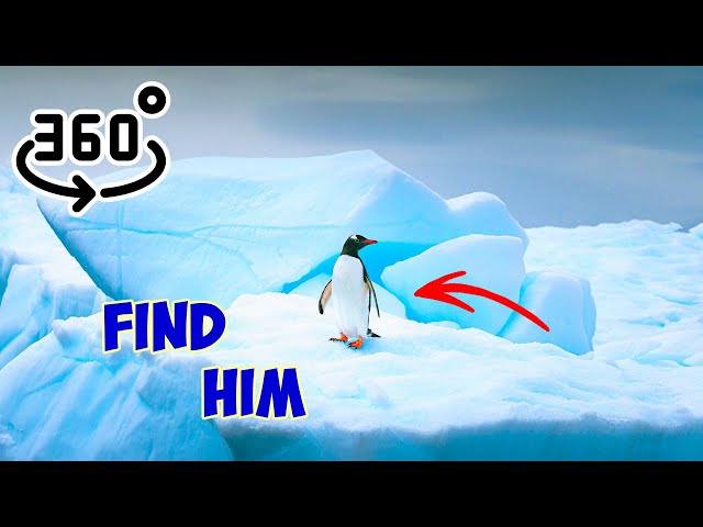 360 find the penguin in a 3D world. 3 searches of 10 seconds. Set the video quality to maximum.