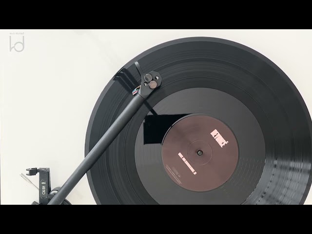 Beyoncé & Drake - Mine [Vinyl Visualizer]