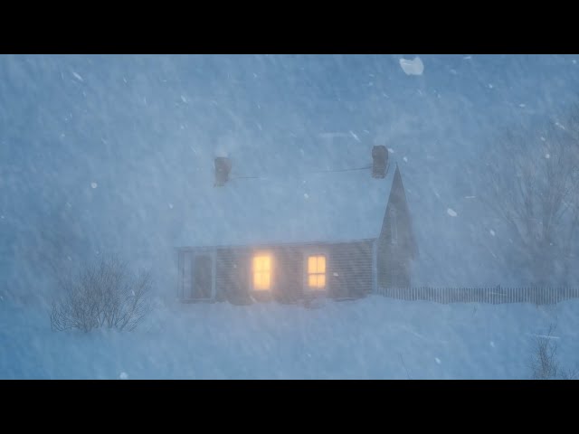 Ultimate Epic Snowstorm Sounds for Sleeping┇Heavy Howling Wind & Loud Blowing Snow┇Icy Wind Ambience