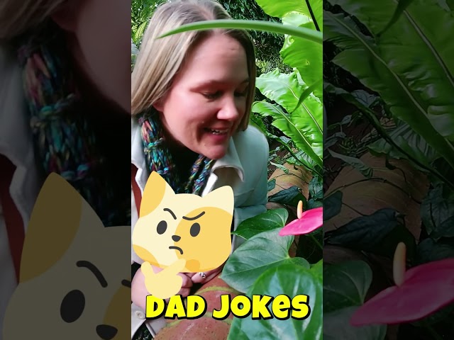 Try Not to Laugh | Best Dad Jokes | Comedy at the Biltmore House