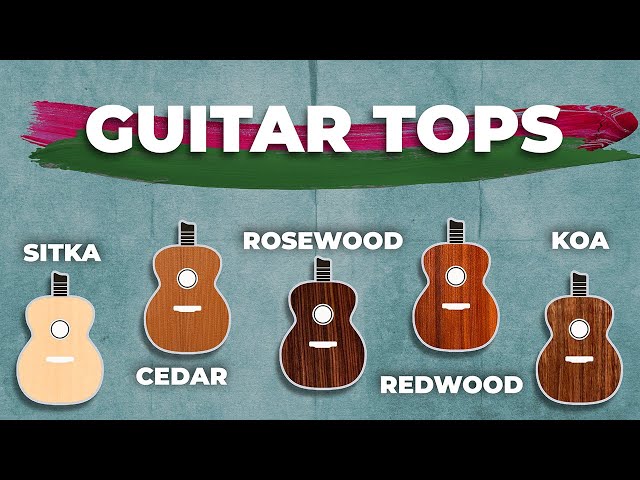 I Wish I Knew This Before Buying An Acoustic: THE TOP