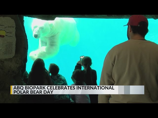 ABQ BioPark celebrates International Polar Bear Day