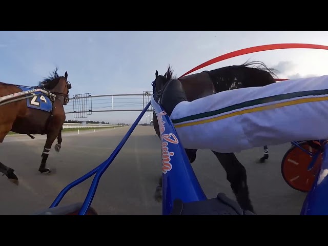 Giant Muscles   NW1751L4   Hoosier Park   20180804i