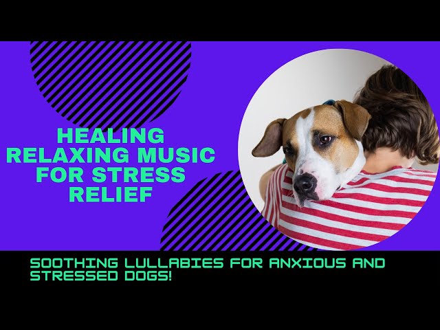 Healing Relaxing Music for Stress Relief - Calming Music