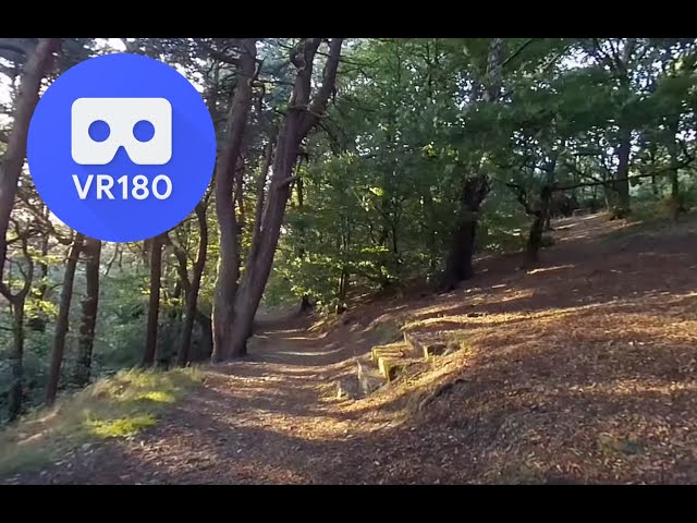 Walk Dog VR180